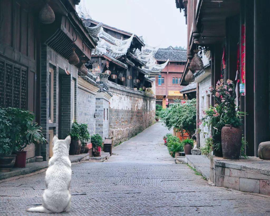世界杯啦啦队员